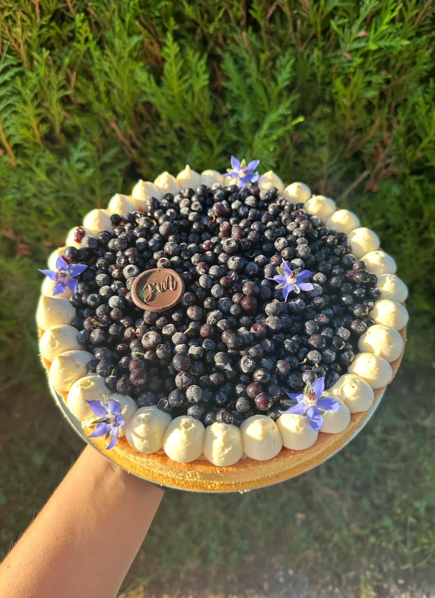 Tarte moderne Myrtille sauvage