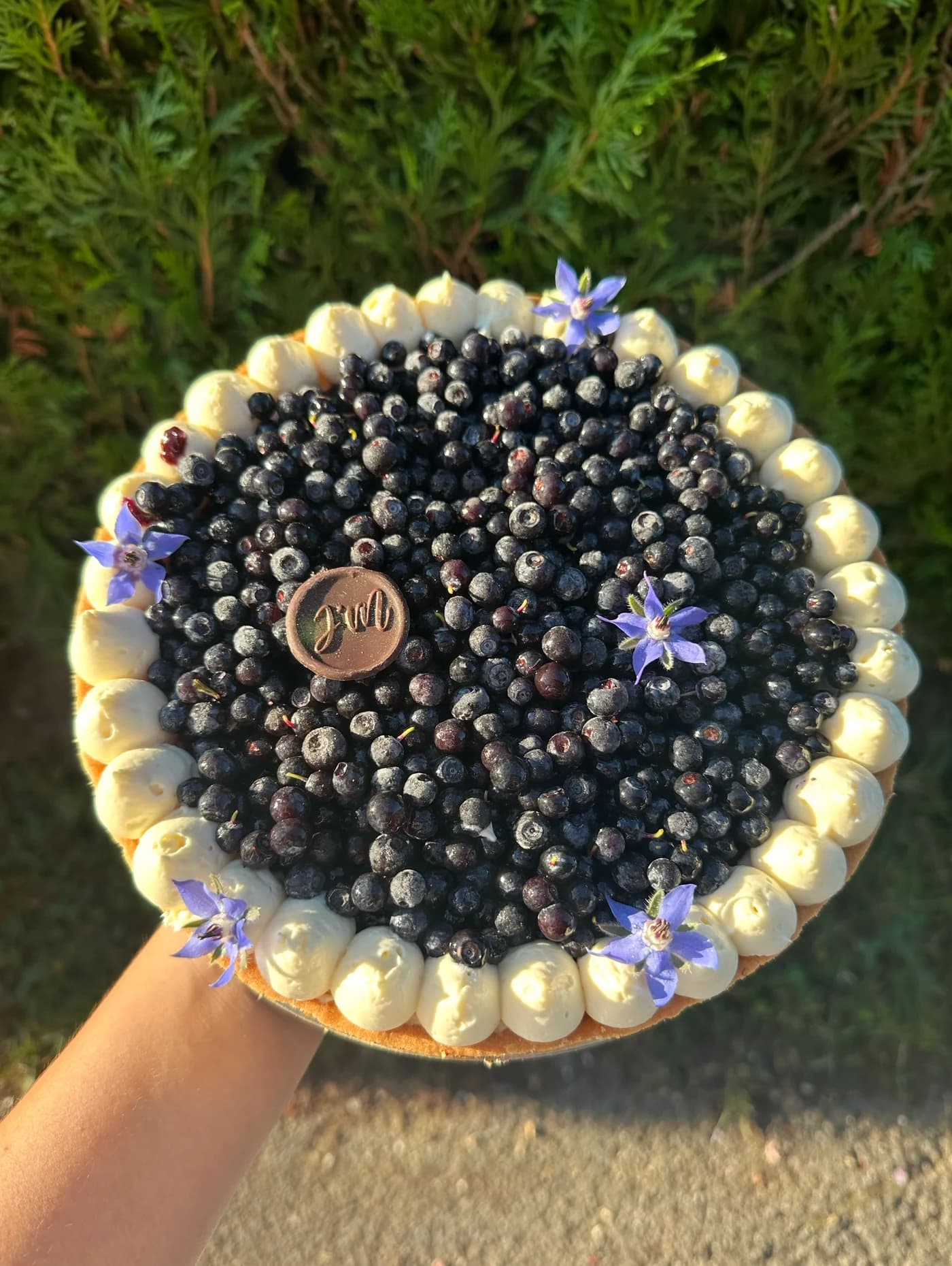 Tarte moderne Myrtille sauvage — miniature 2