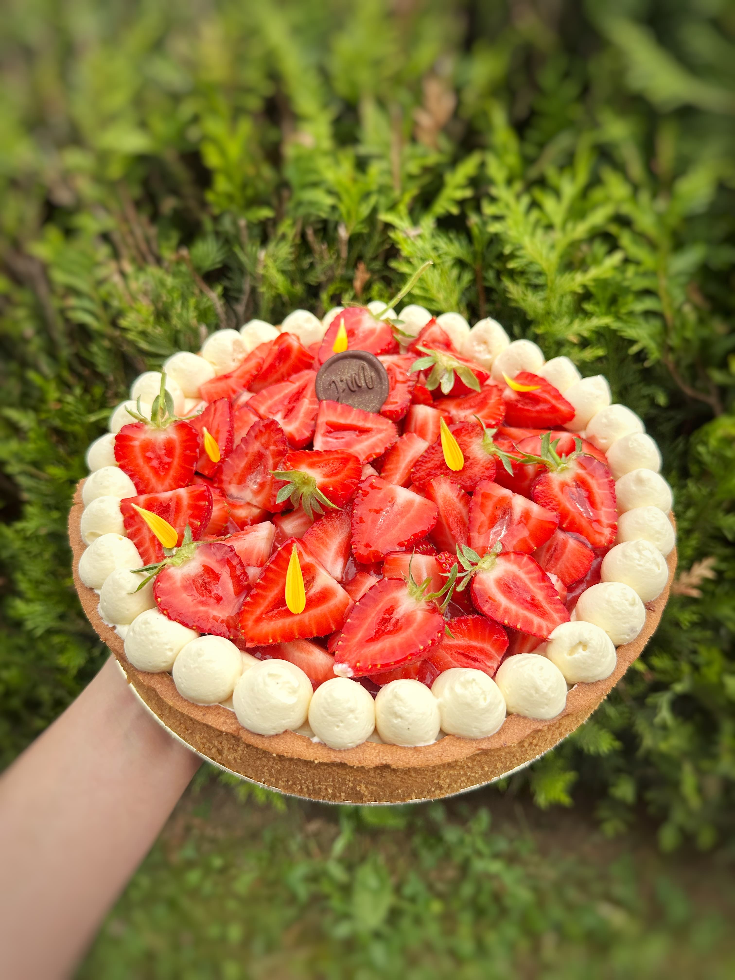 Tarte moderne Fraise
