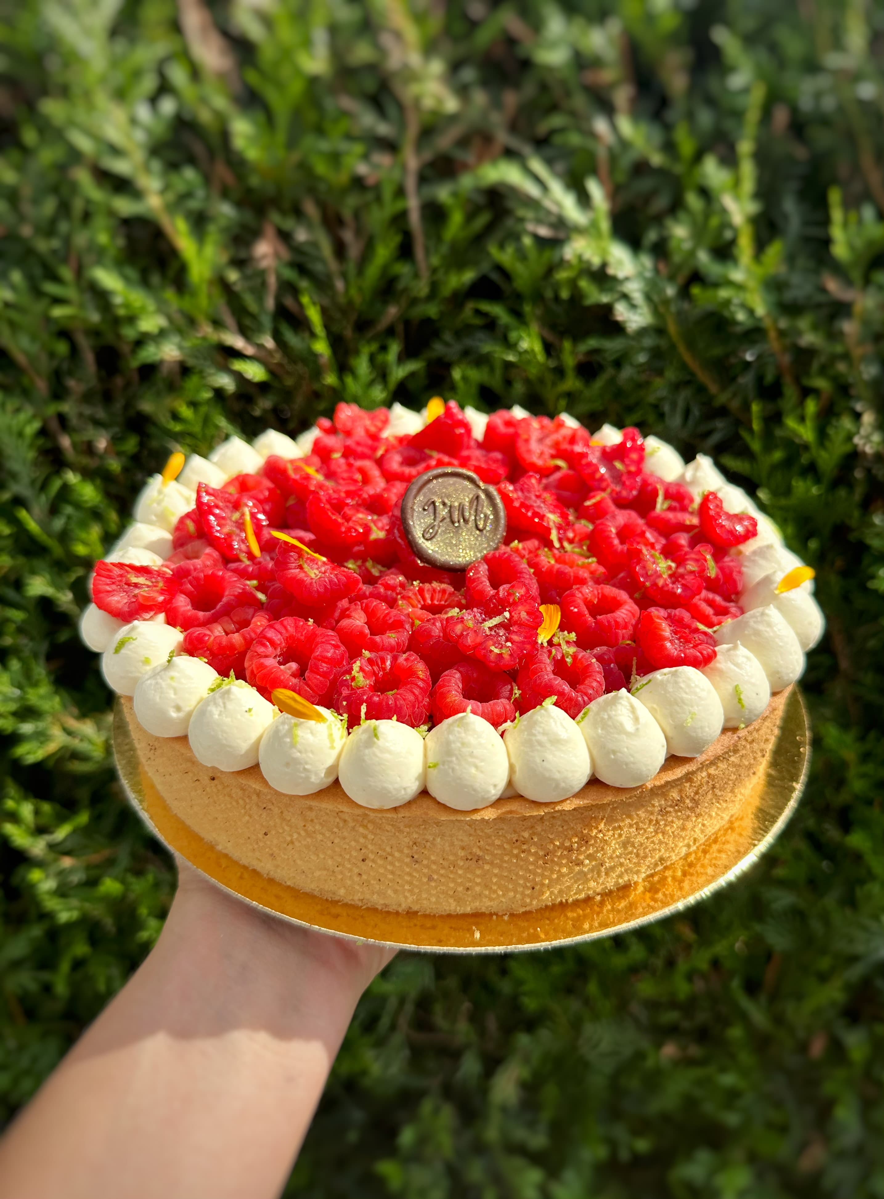 Tarte moderne Framboise