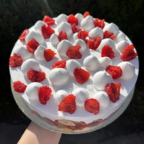 Framboisier Vegan